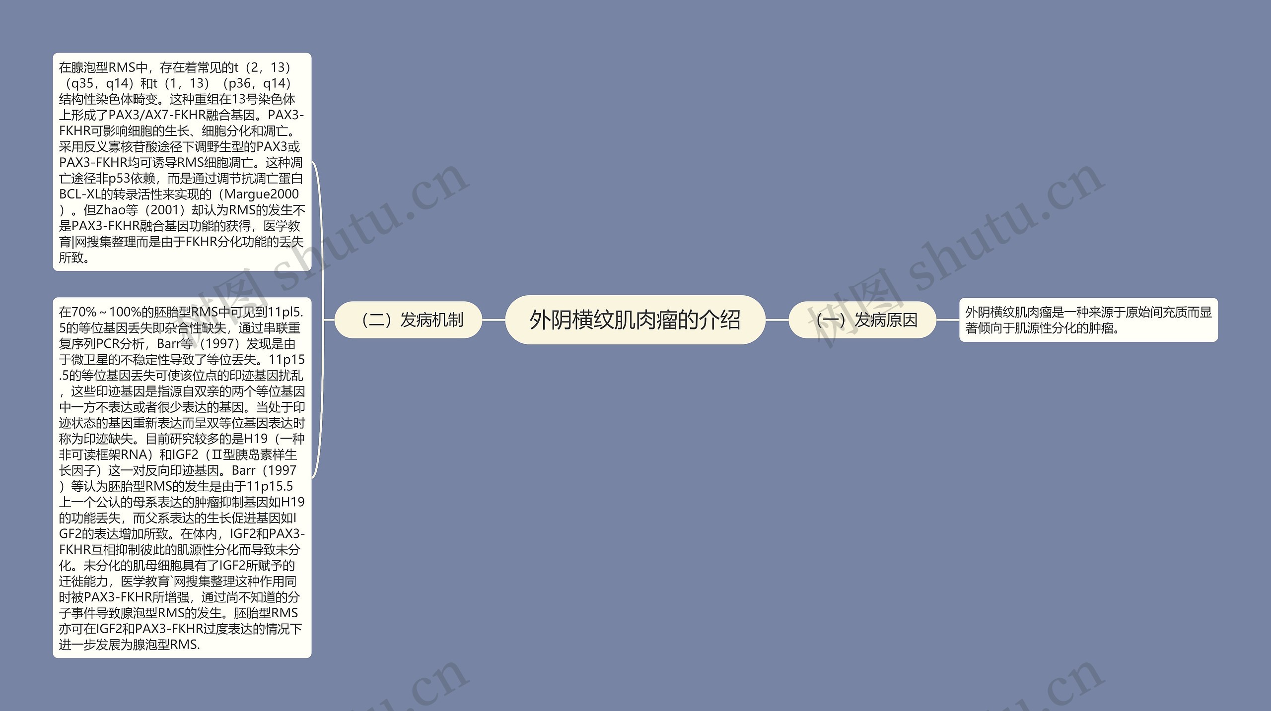 外阴横纹肌肉瘤的介绍