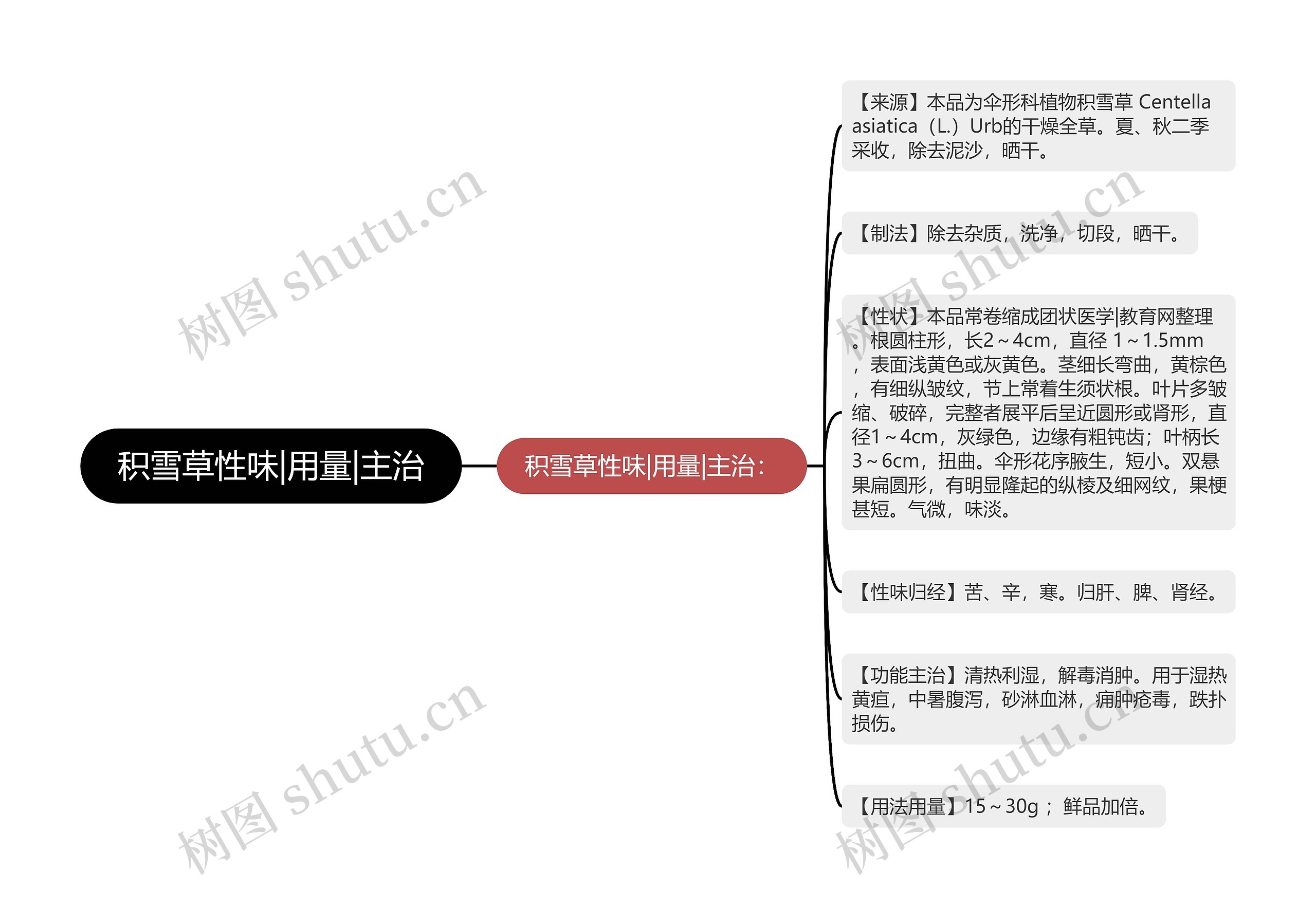 积雪草性味|用量|主治 积雪草性味|用量|主治