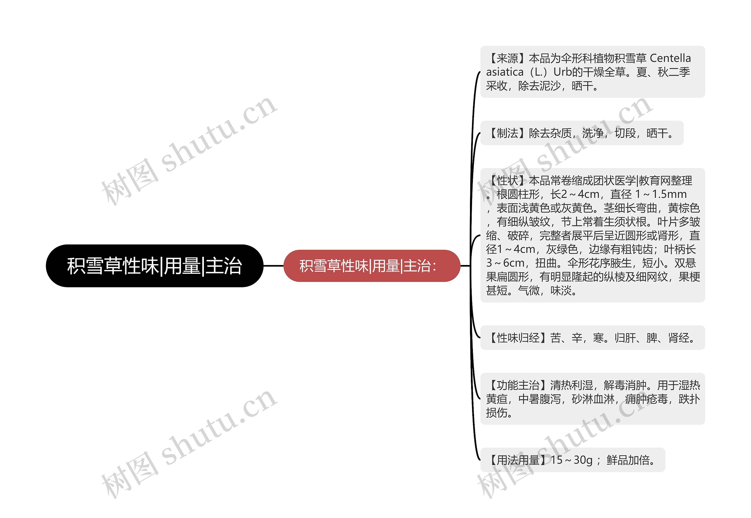 积雪草性味|用量|主治思维导图