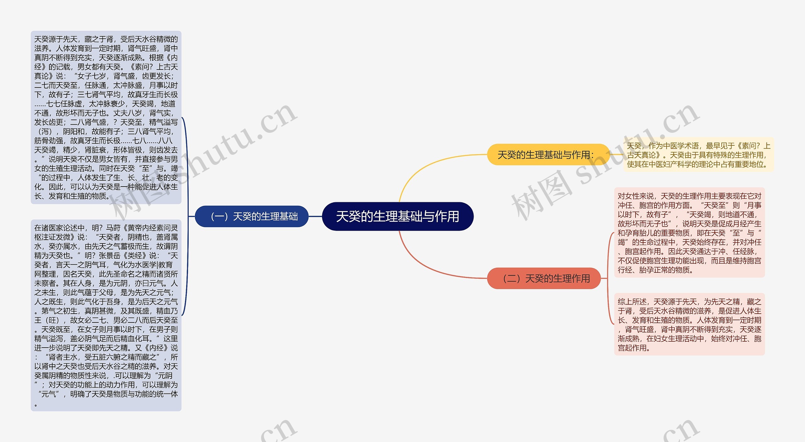 天癸的生理基础与作用思维导图