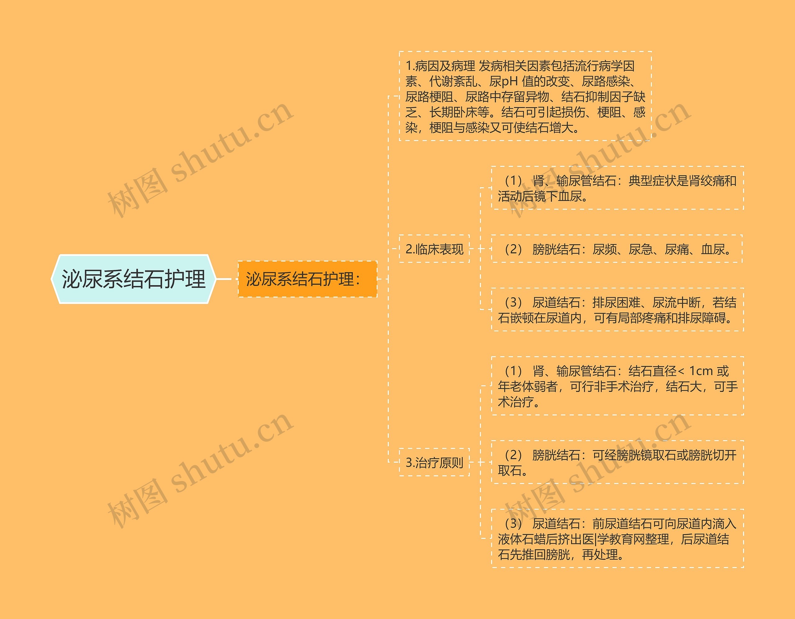 泌尿系结石护理