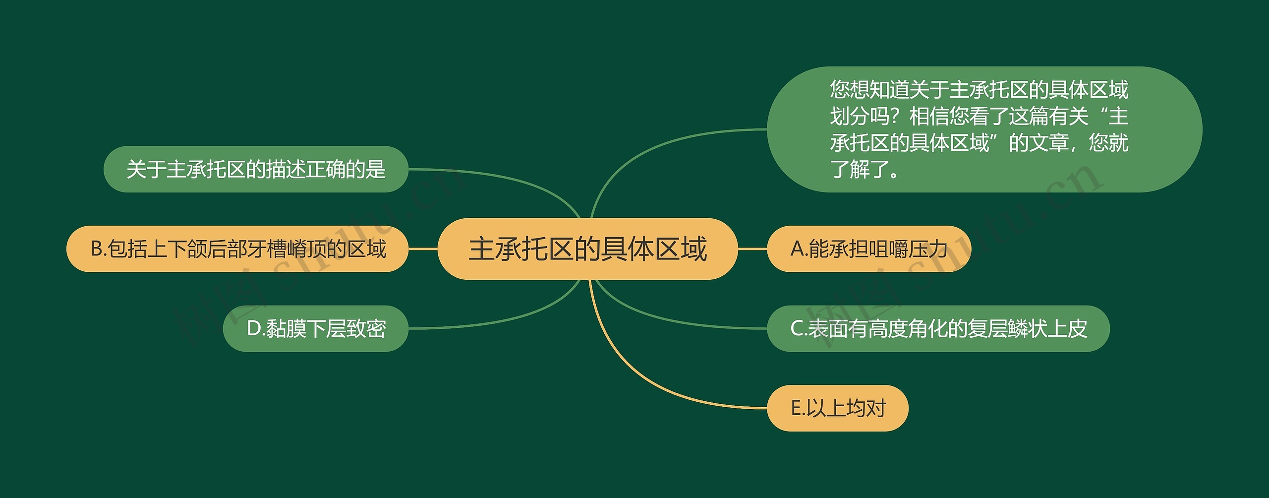 主承托区的具体区域