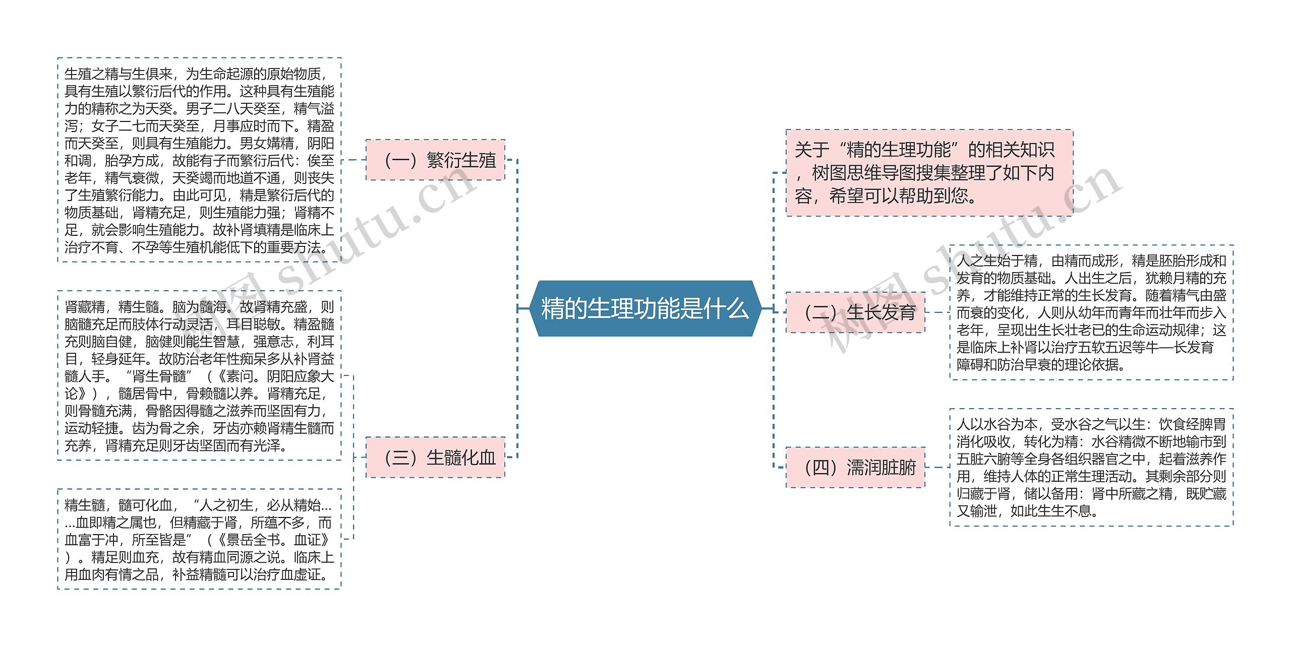 精的生理功能是什么思维导图