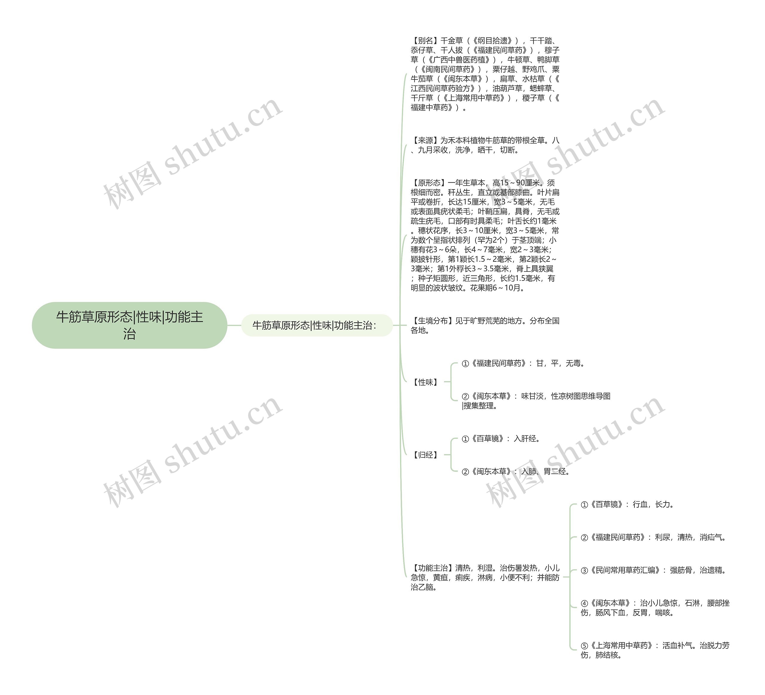 牛筋草原形态|性味|功能主治 牛筋草原形态|性味|功能主治