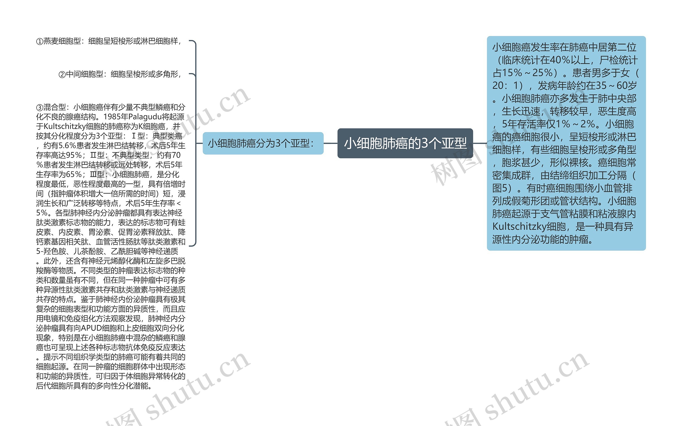 小细胞肺癌的3个亚型