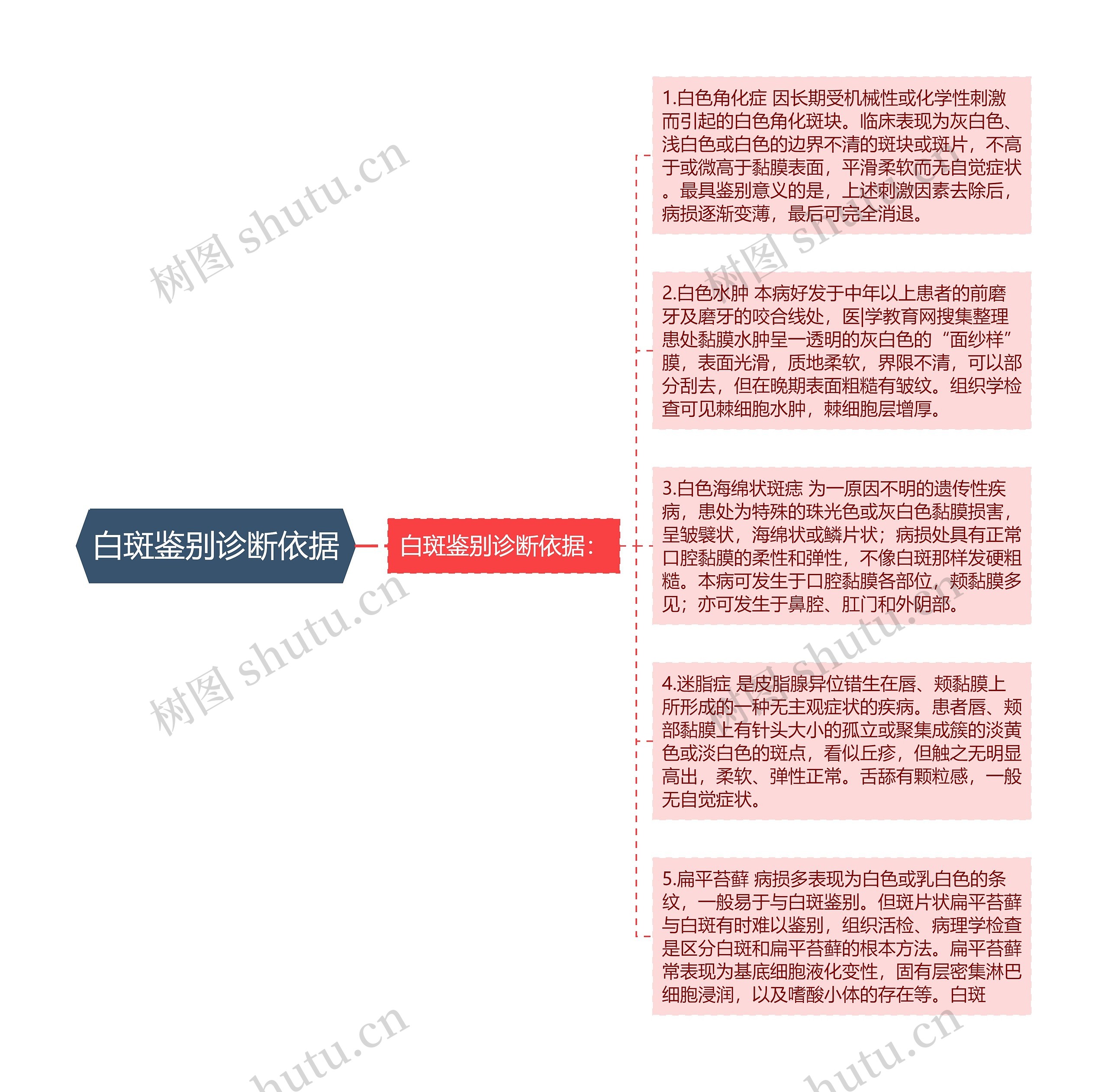 白斑鉴别诊断依据思维导图