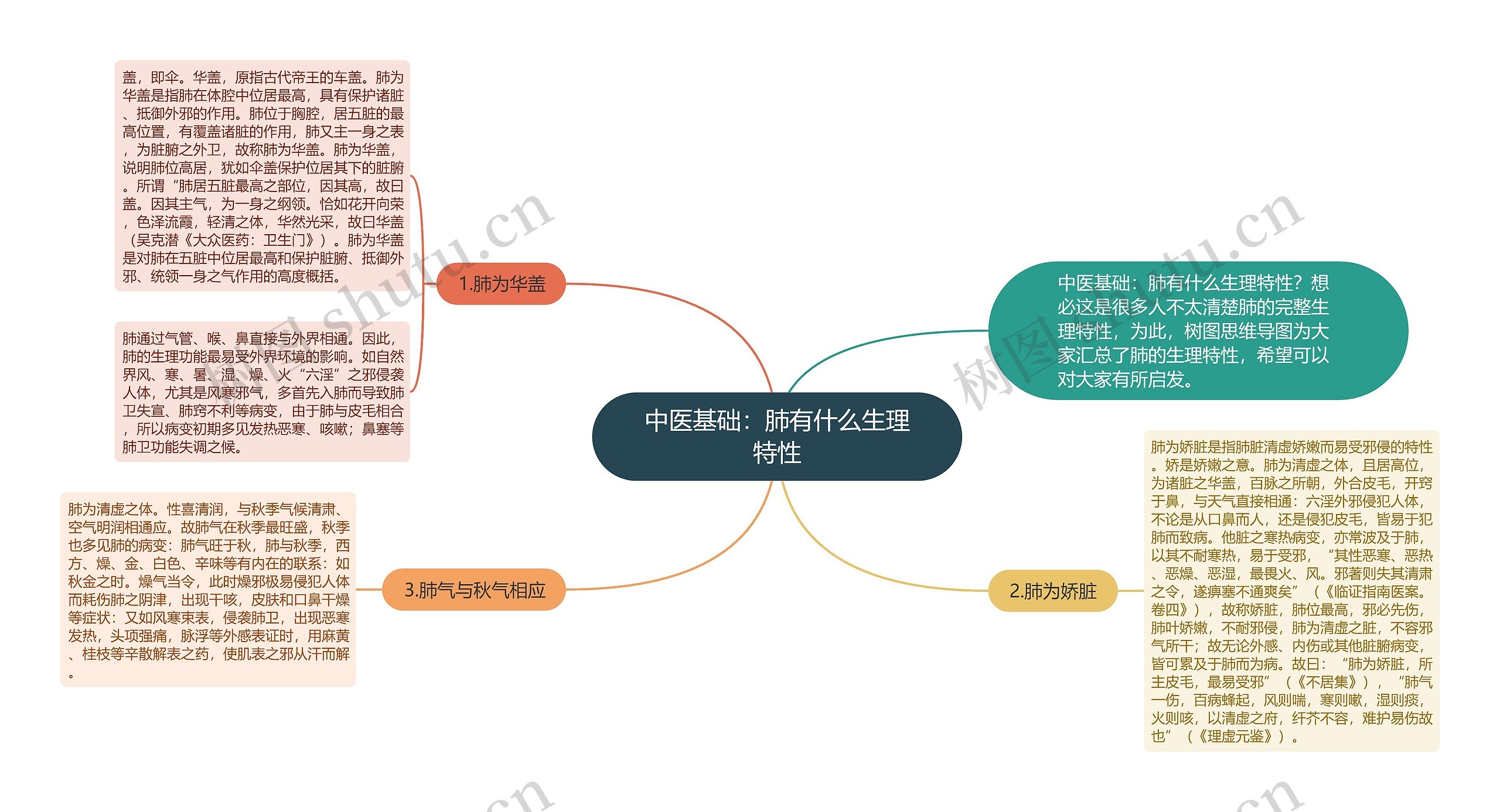 中医基础：肺有什么生理特性