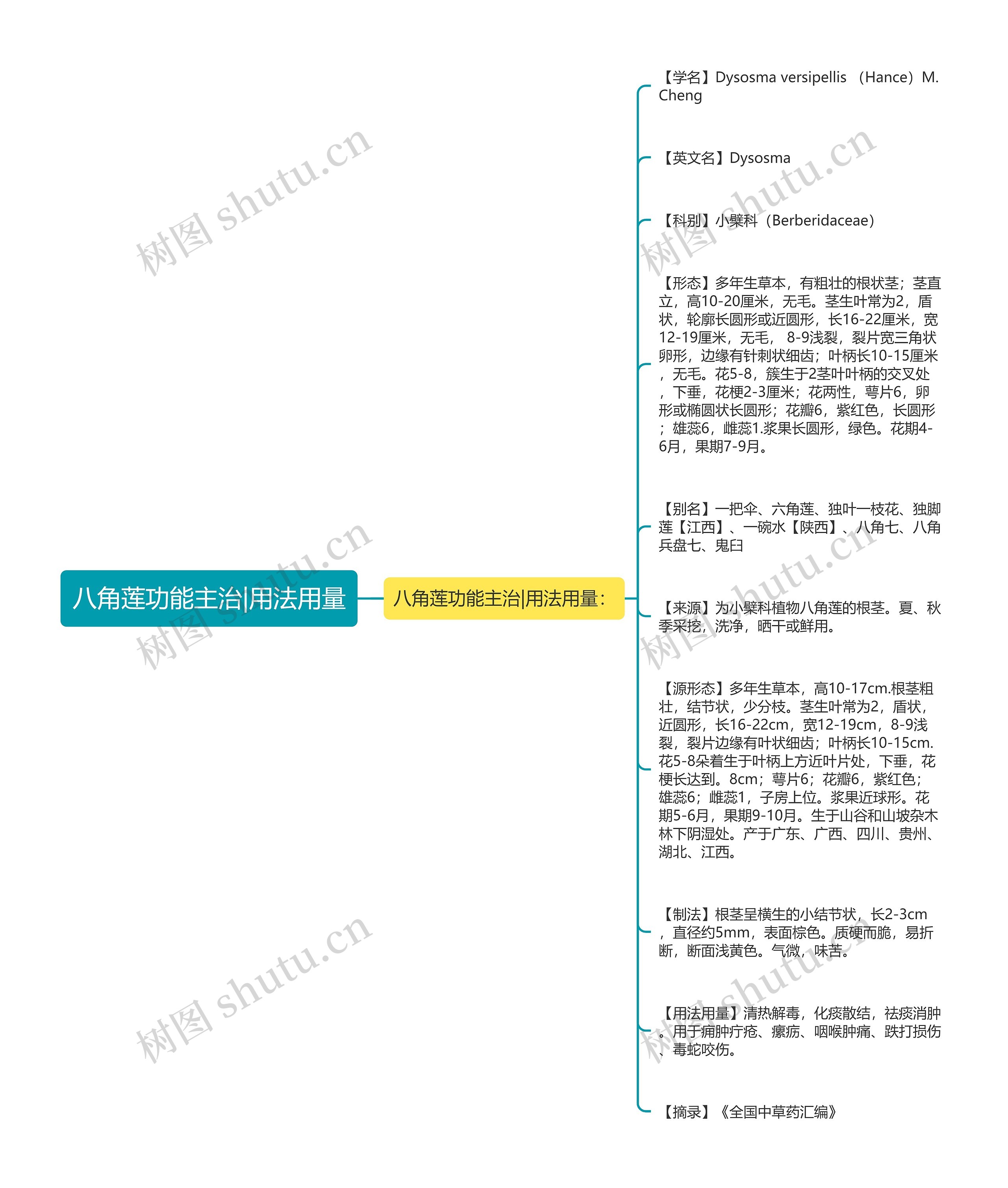 八角莲功能主治|用法用量