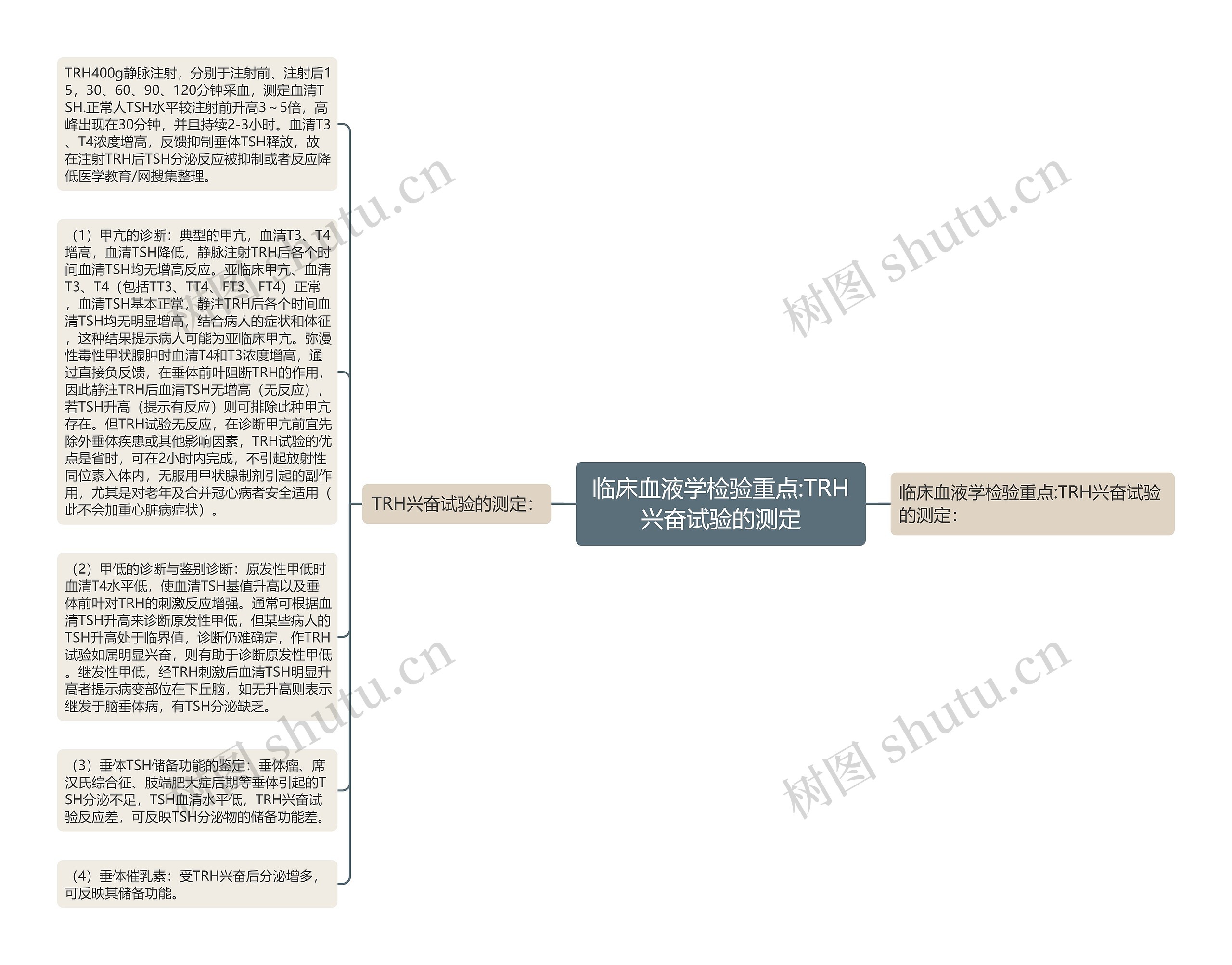 临床血液学检验重点:TRH兴奋试验的测定思维导图