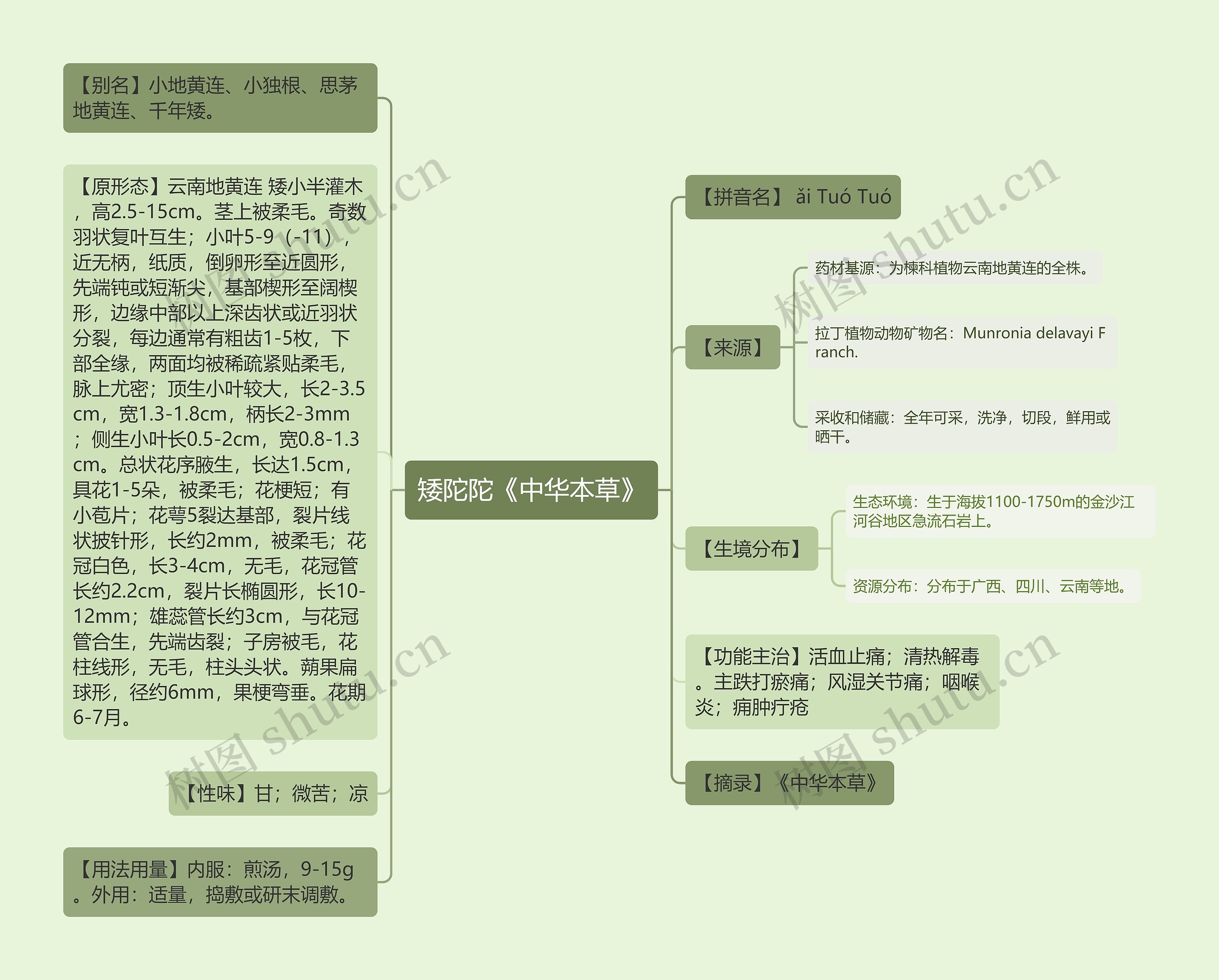 矮陀陀《中华本草》思维导图