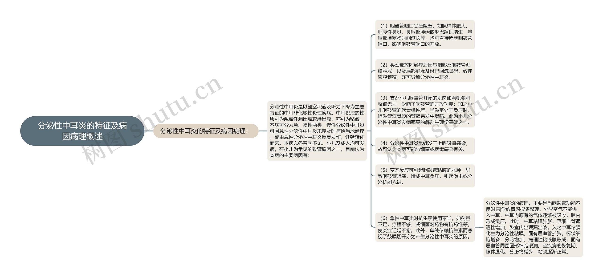 分泌性中耳炎的特征及病因病理概述