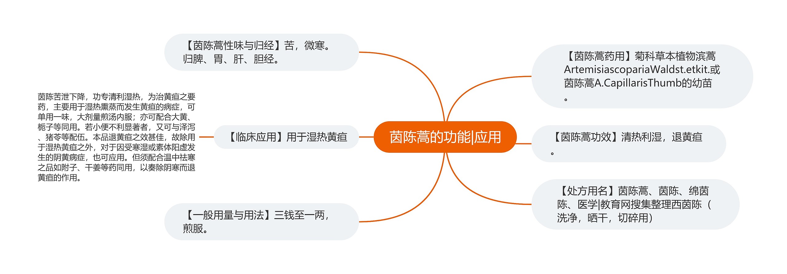 茵陈蒿的功能|应用 茵陈蒿的功能|应用