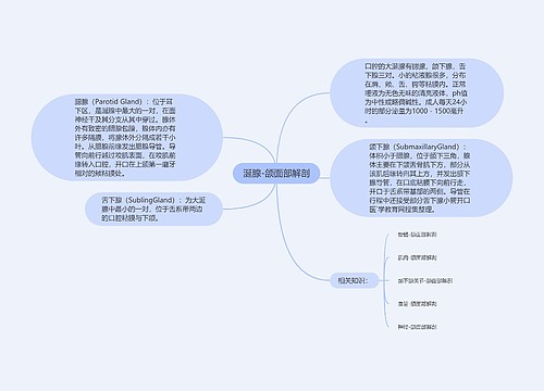 涎腺-颌面部解剖