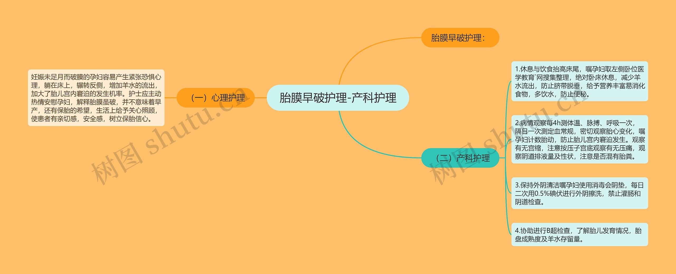 胎膜早破护理-产科护理思维导图