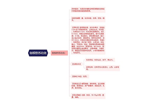 倒根野苏功效