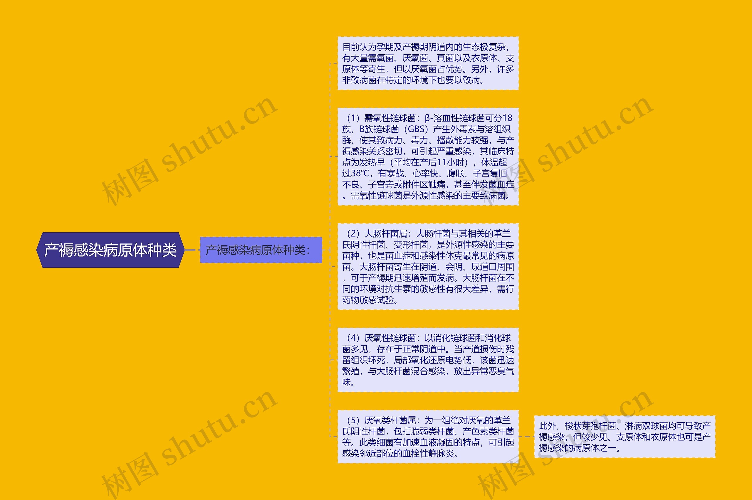 产褥感染病原体种类