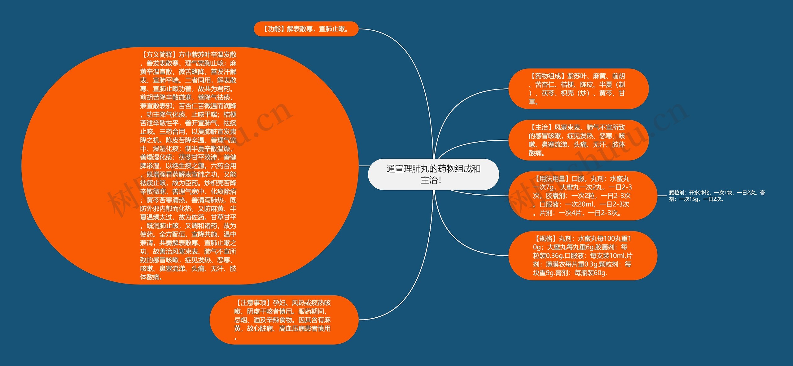 通宣理肺丸的药物组成和主治！思维导图