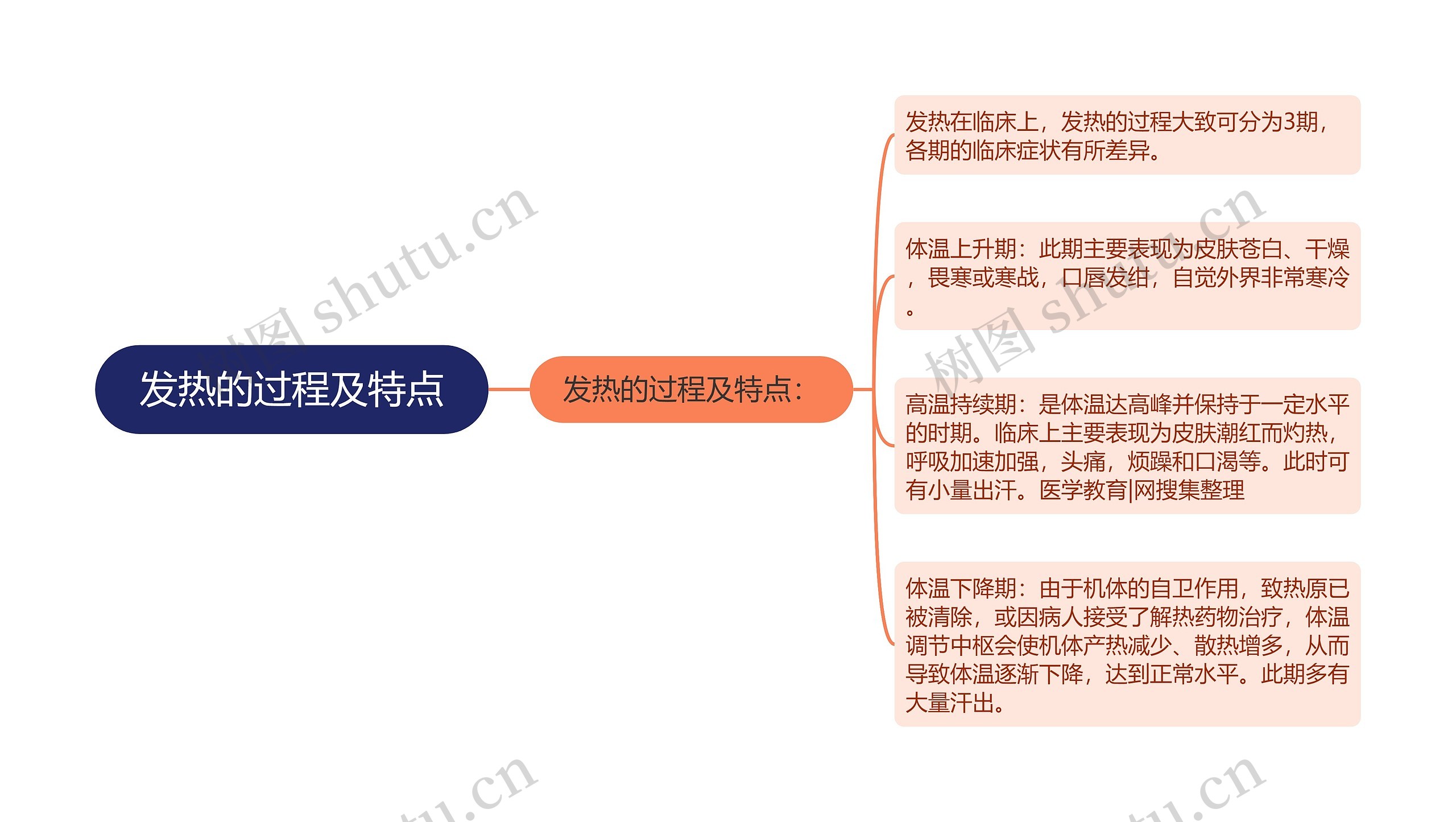 发热的过程及特点思维导图