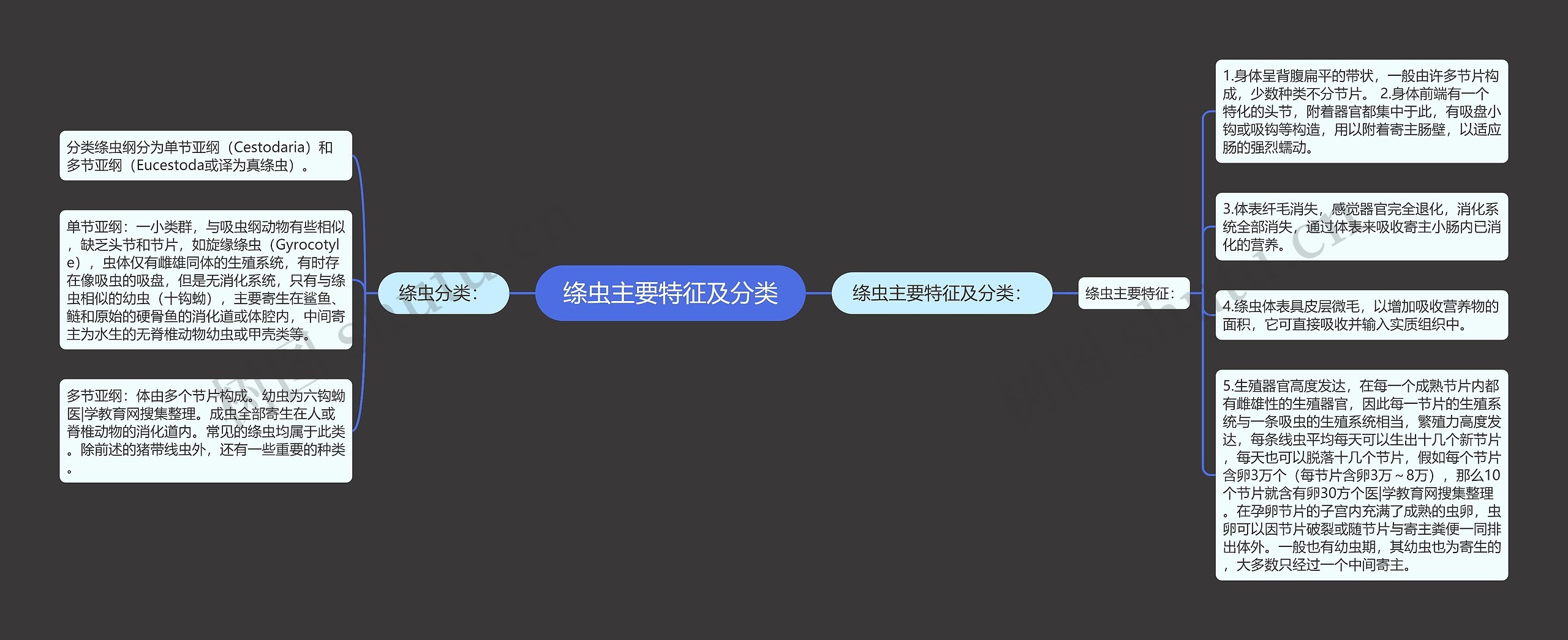 绦虫主要特征及分类思维导图