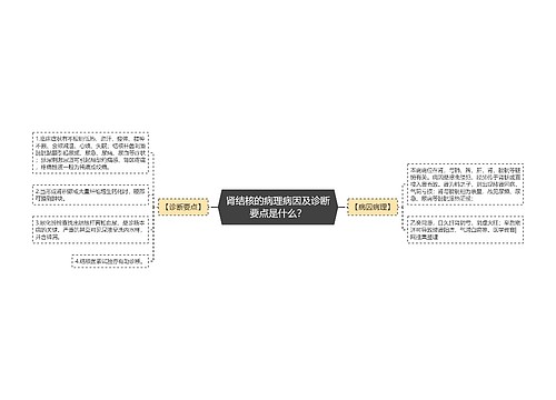 肾结核的病理病因及诊断要点是什么？