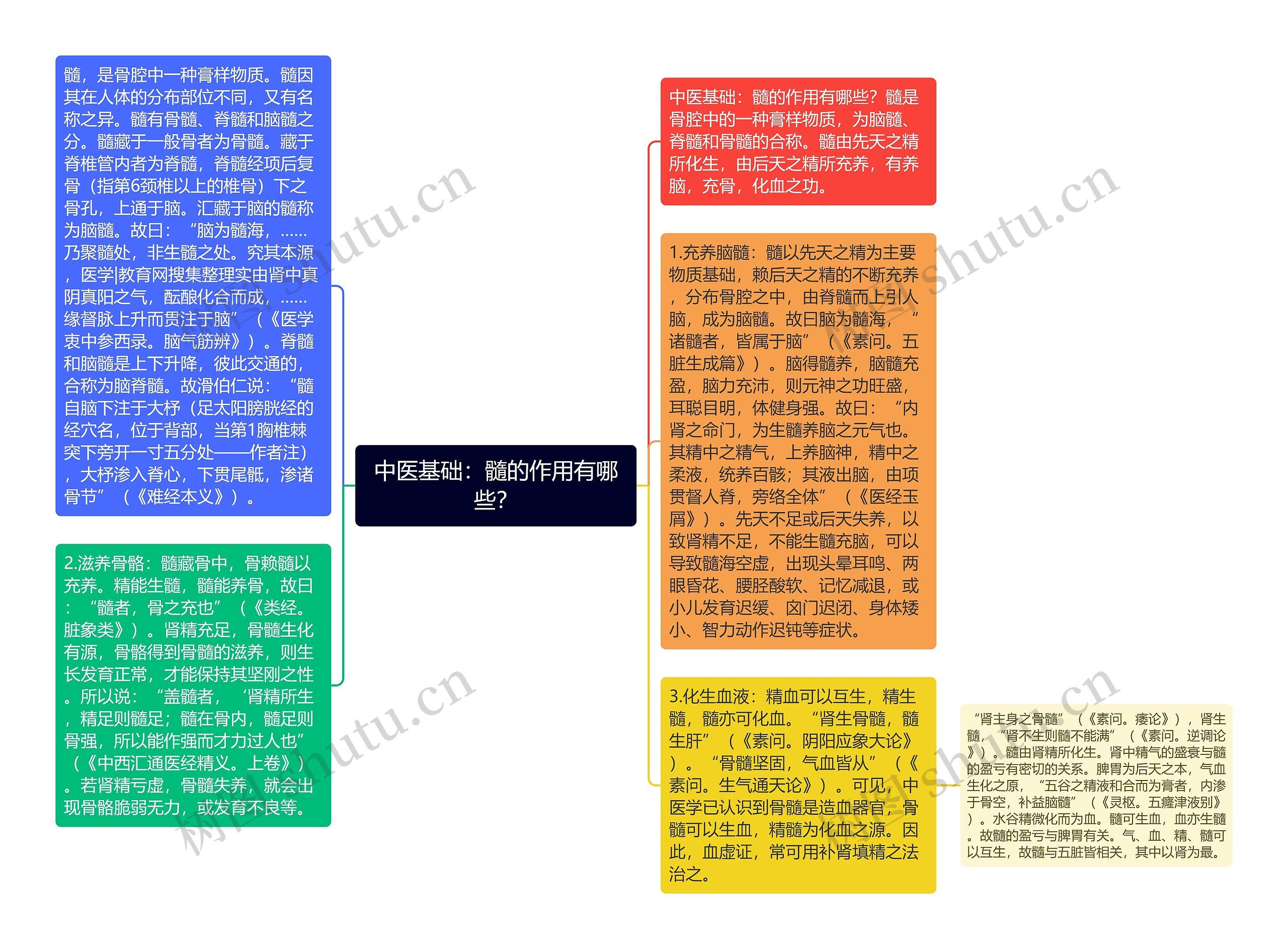 中医基础：髓的作用有哪些？