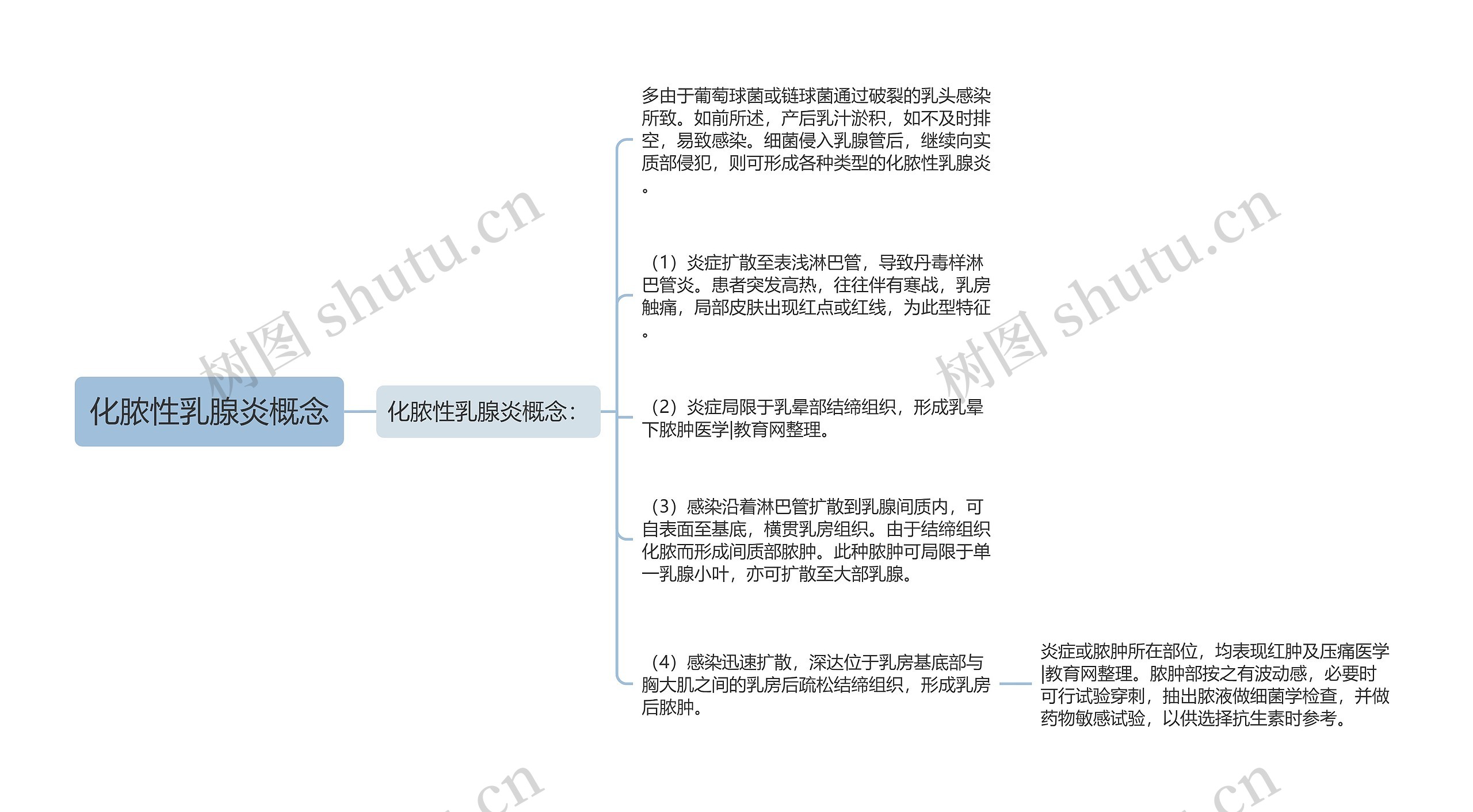 化脓性乳腺炎概念思维导图