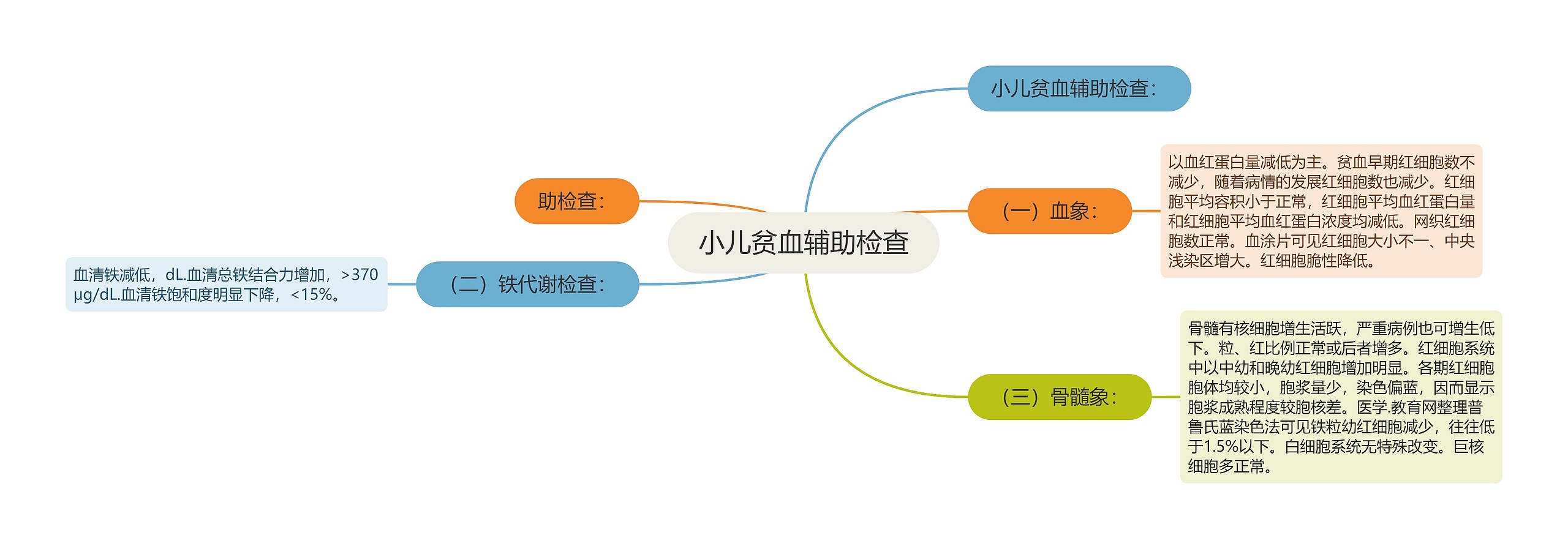 小儿贫血辅助检查