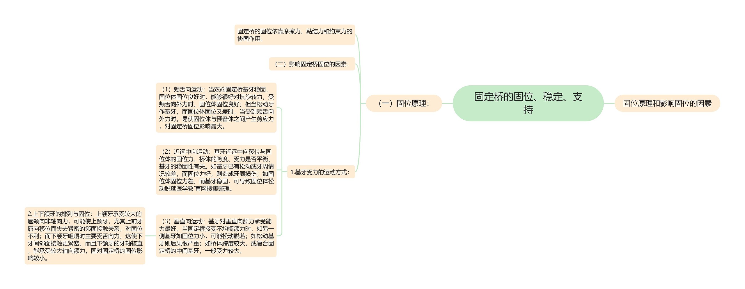 固定桥的固位、稳定、支持