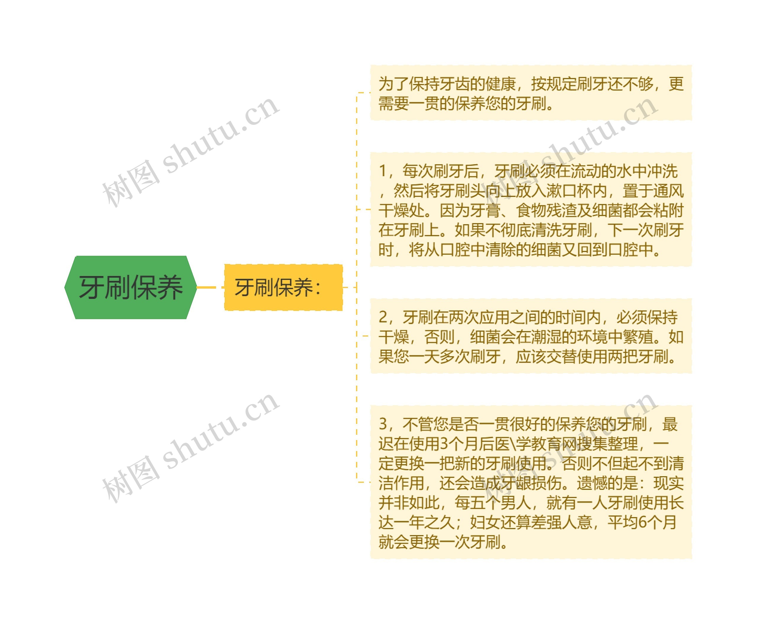 牙刷保养思维导图