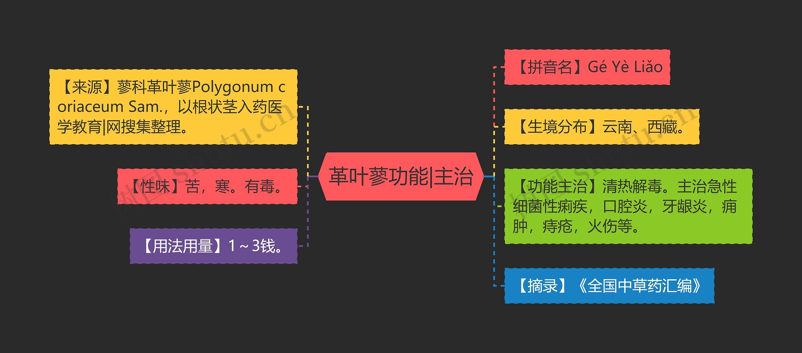 革叶蓼功能|主治思维导图