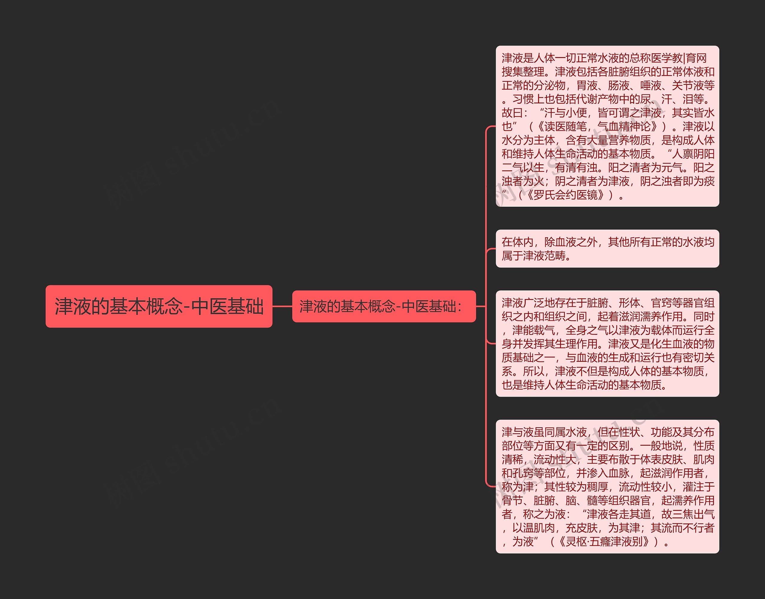 津液的基本概念-中医基础