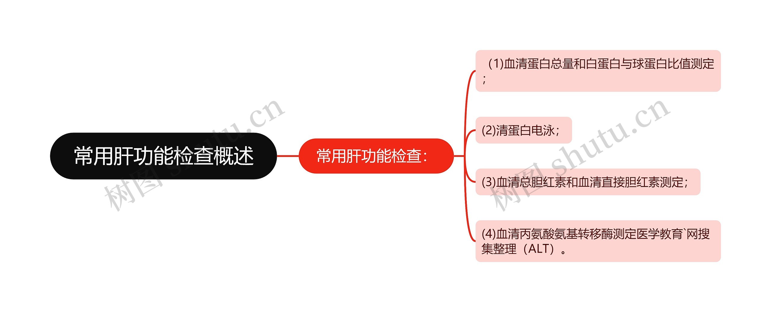 常用肝功能检查概述