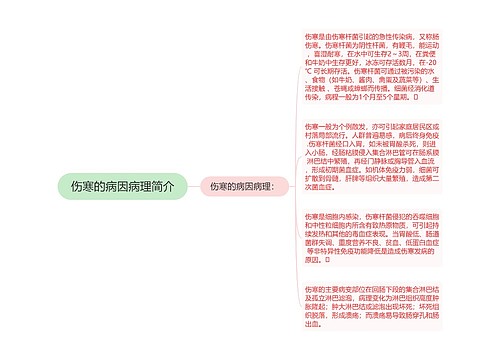 伤寒的病因病理简介