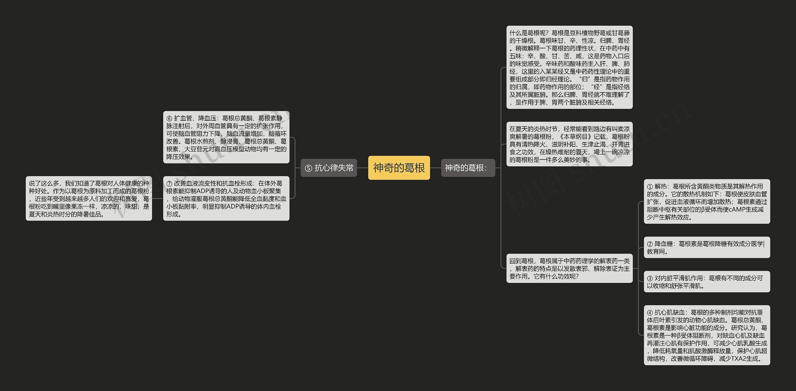 神奇的葛根 神奇的葛根