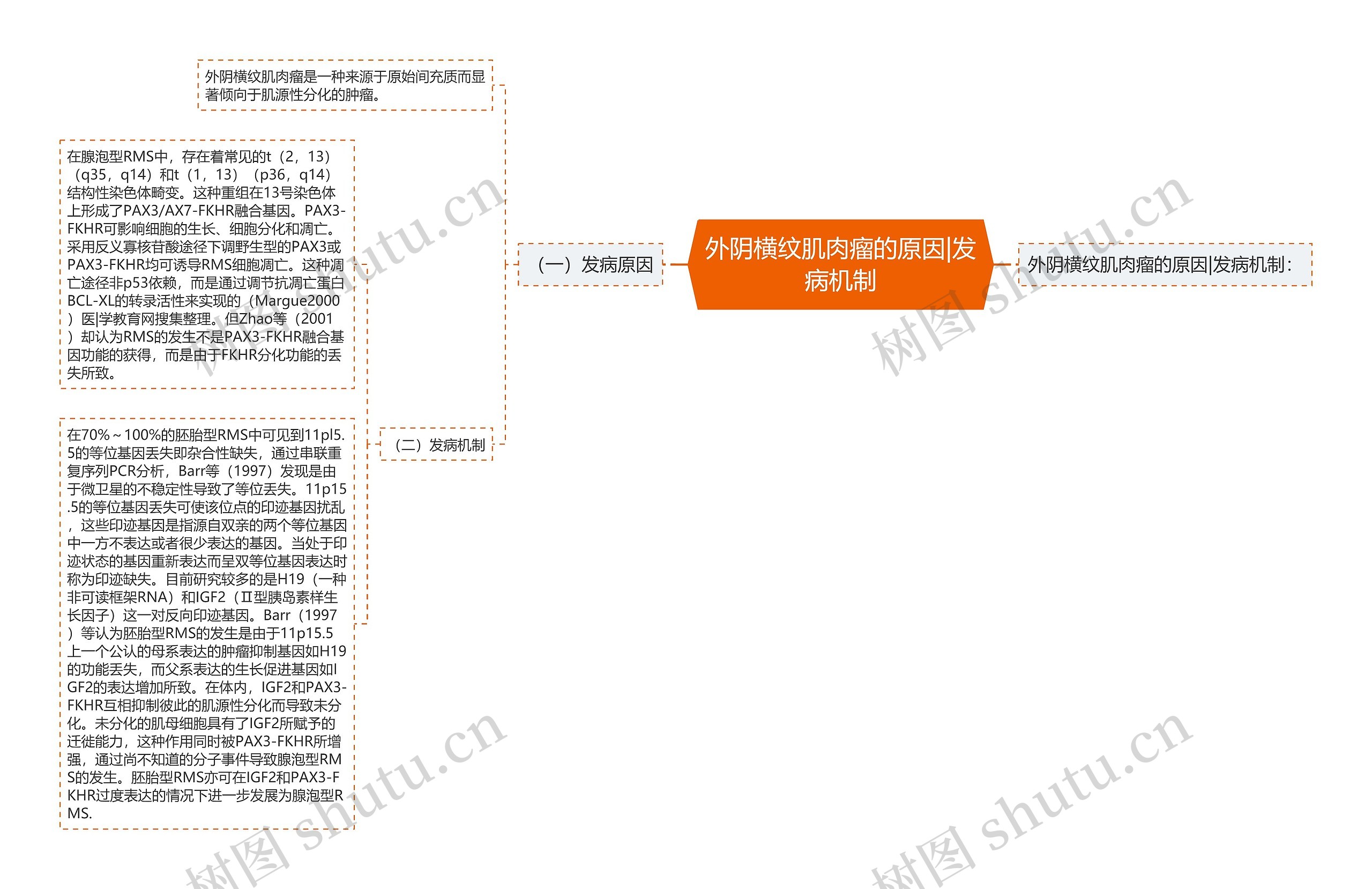 外阴横纹肌肉瘤的原因|发病机制 外阴横纹肌肉瘤的原因|发病机制