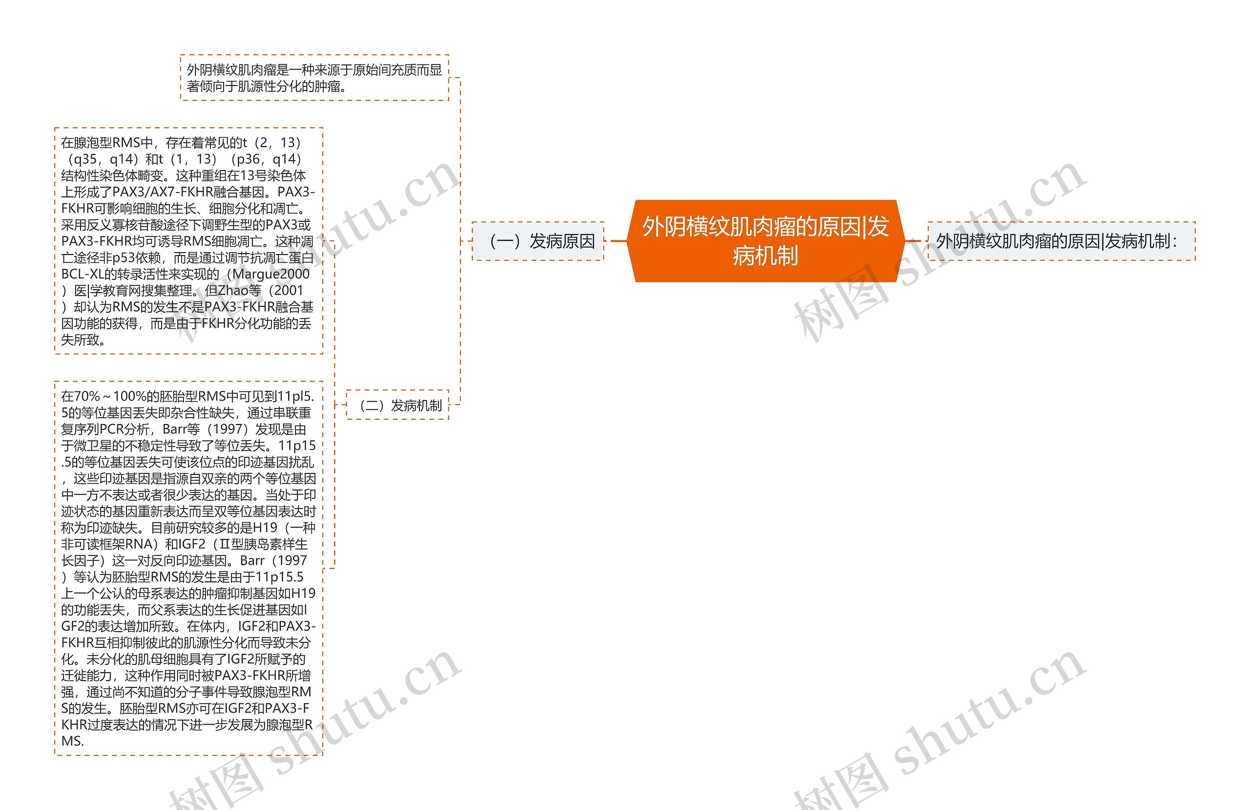 外阴横纹肌肉瘤的原因|发病机制思维导图