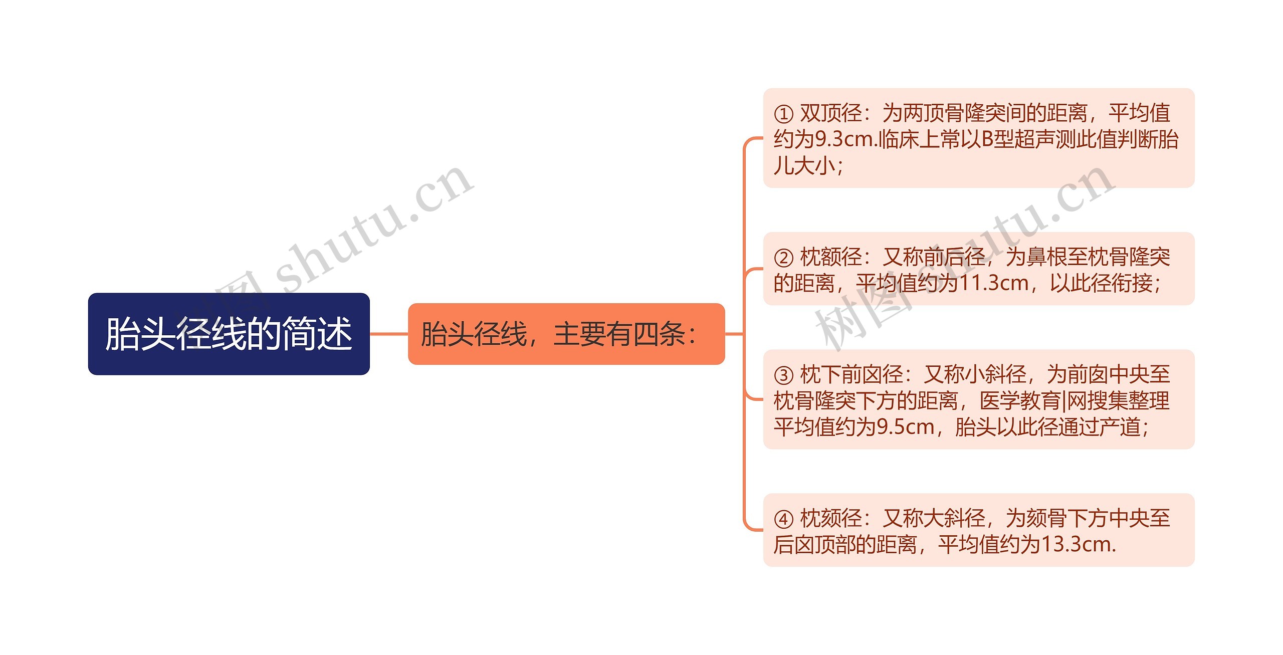 胎头径线的简述思维导图