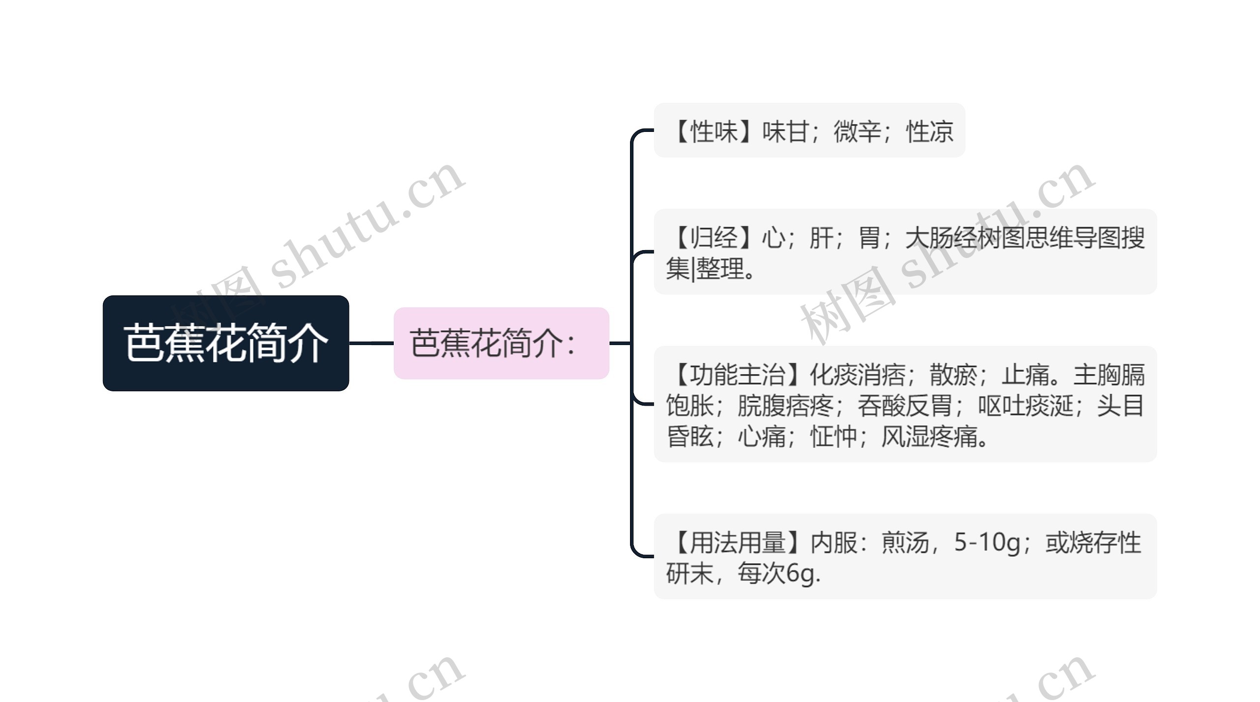 芭蕉花简介思维导图