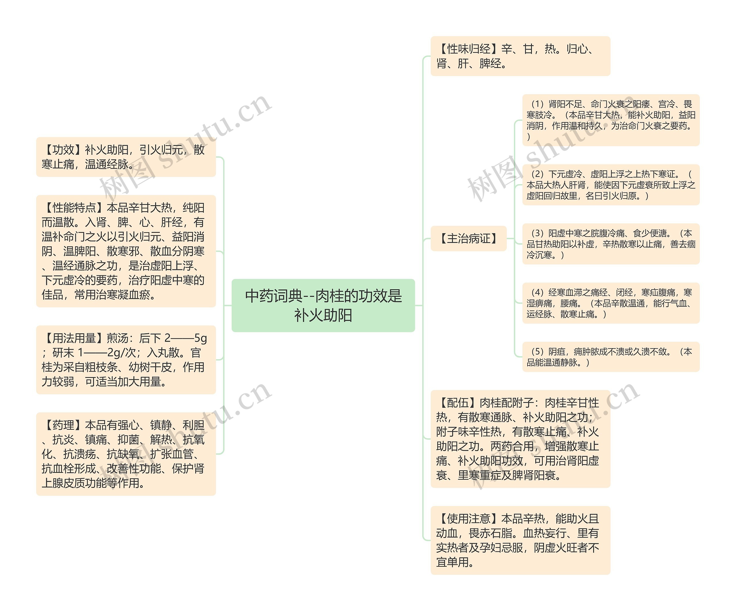 中药词典--肉桂的功效是补火助阳思维导图