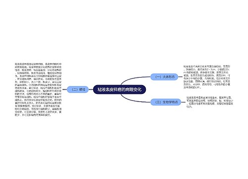 粘液表皮样癌的病理变化