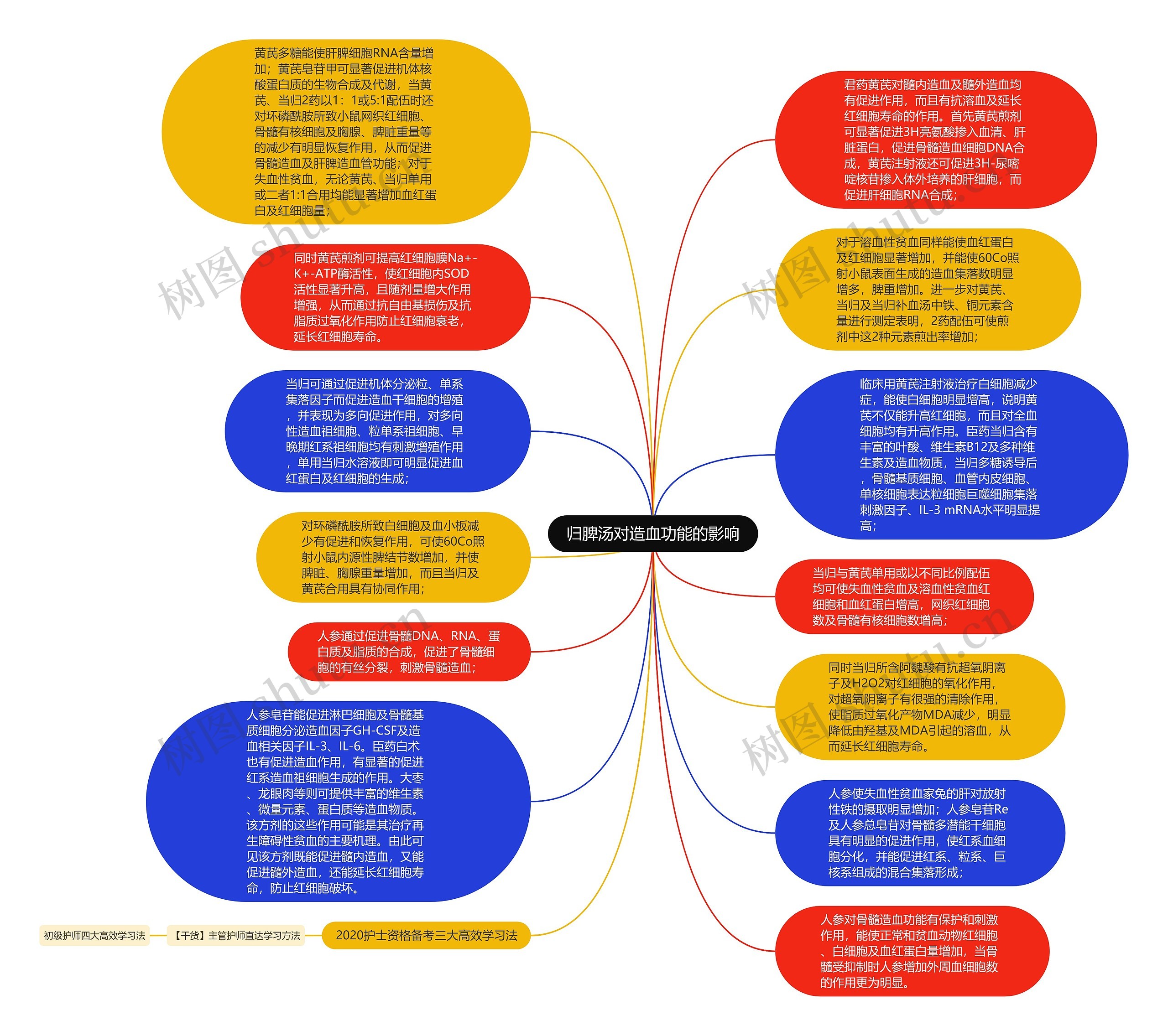 归脾汤对造血功能的影响思维导图