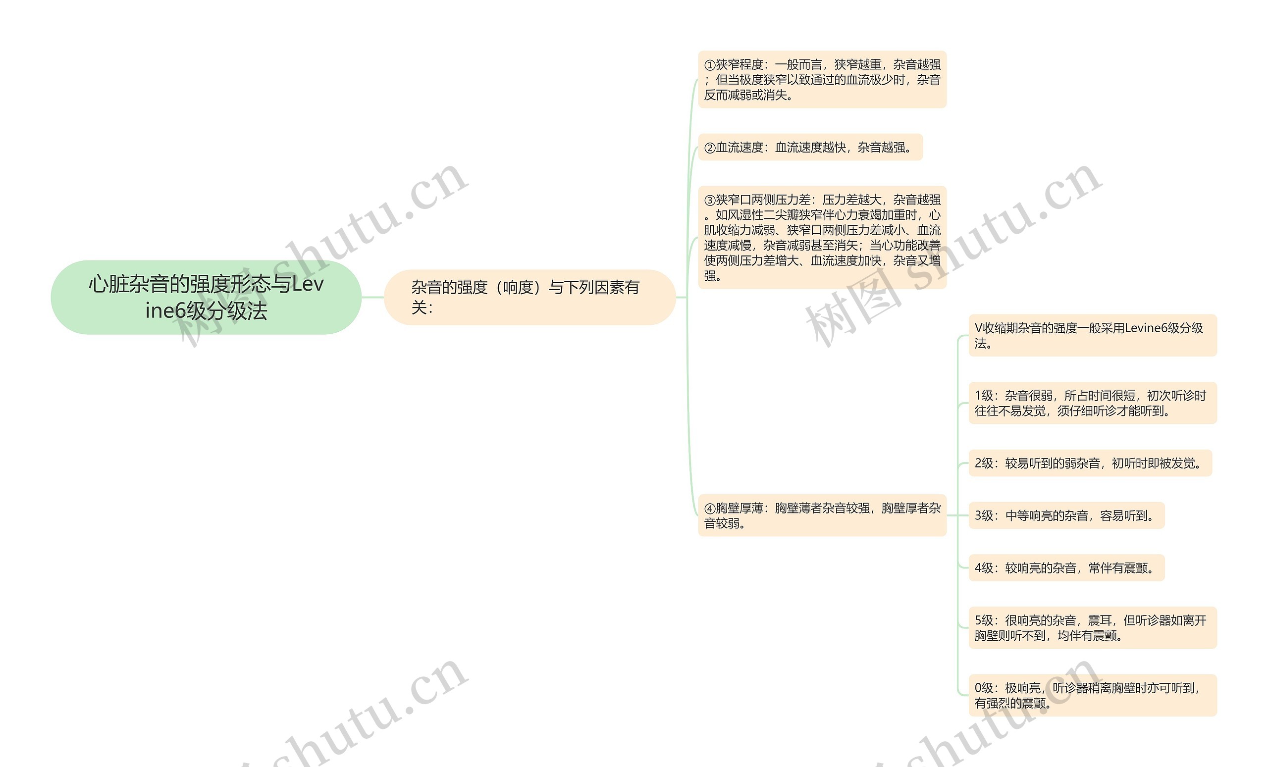 心脏杂音的强度形态与Levine6级分级法