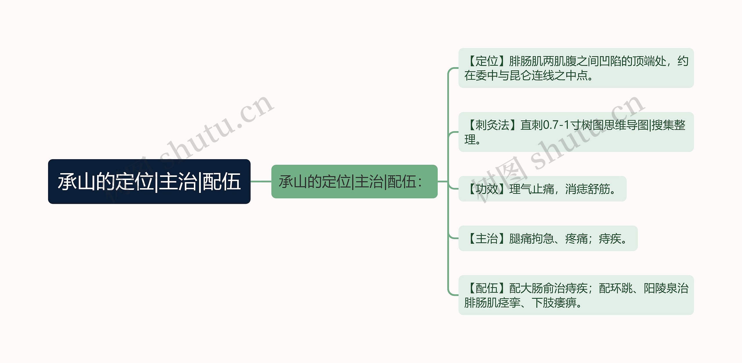 承山的定位|主治|配伍