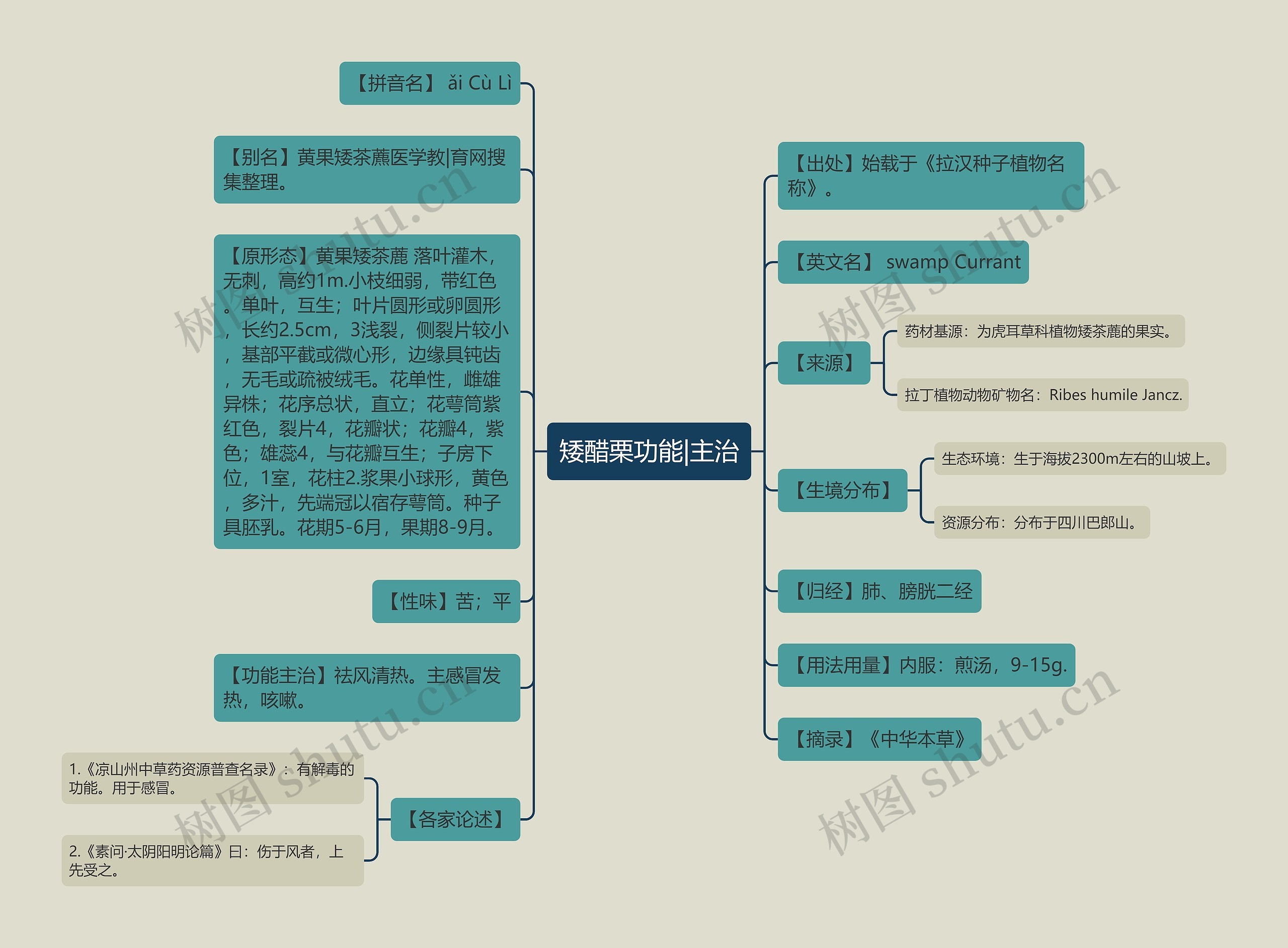 矮醋栗功能|主治思维导图