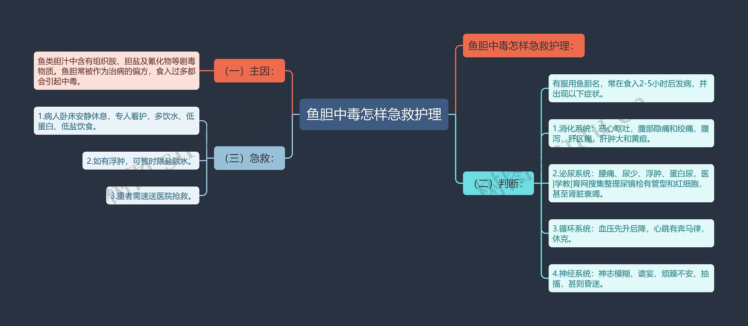 鱼胆中毒怎样急救护理思维导图