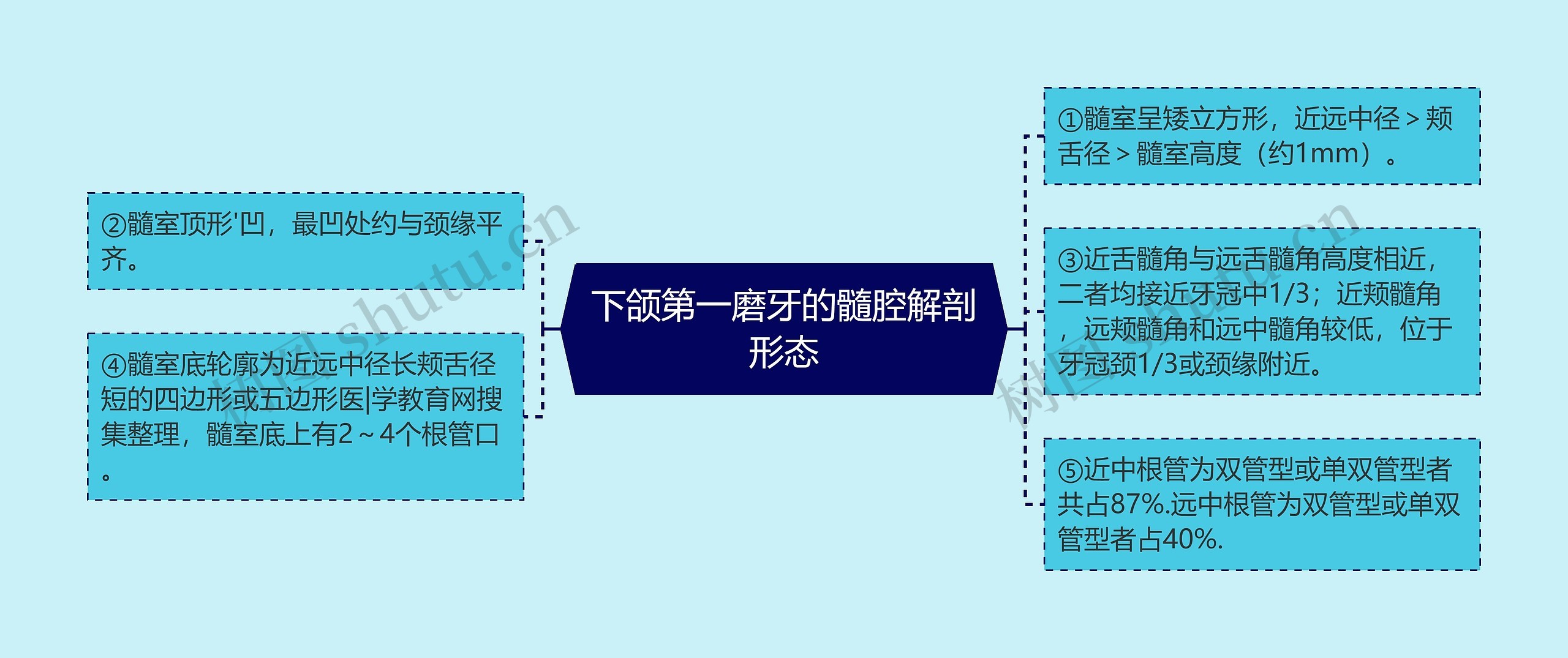 下颌第一磨牙的髓腔解剖形态思维导图