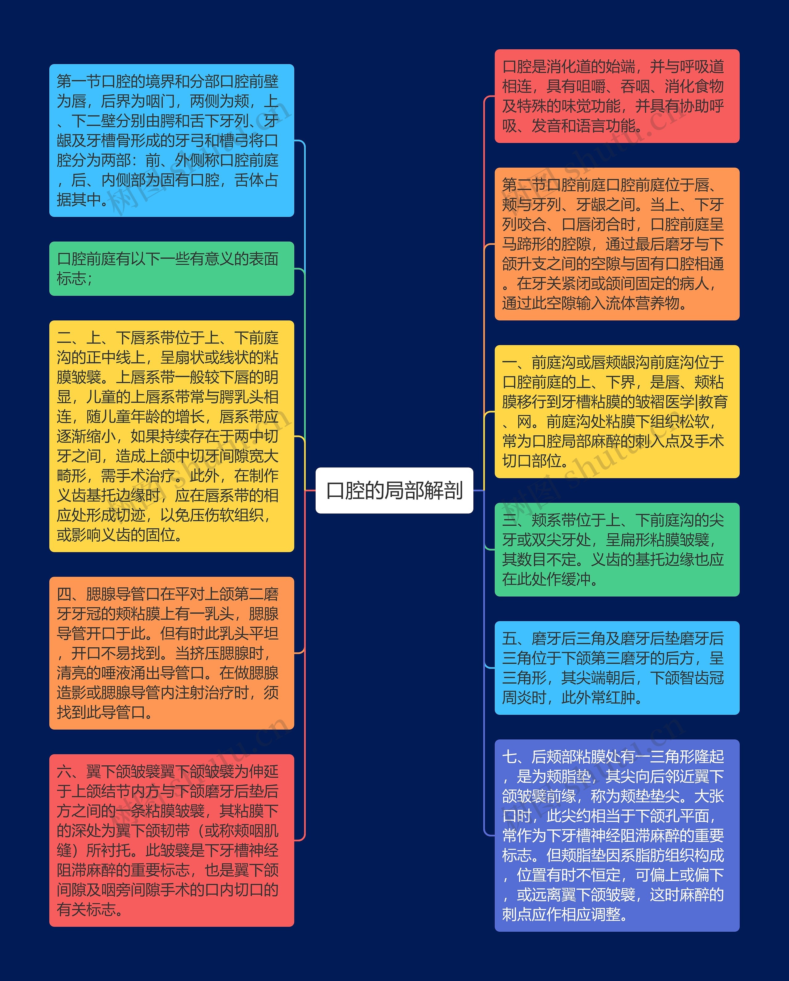 口腔的局部解剖思维导图