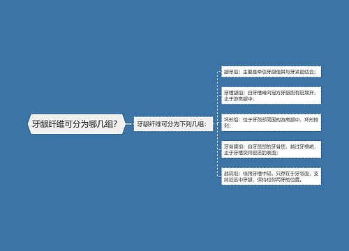 牙龈纤维可分为哪几组？