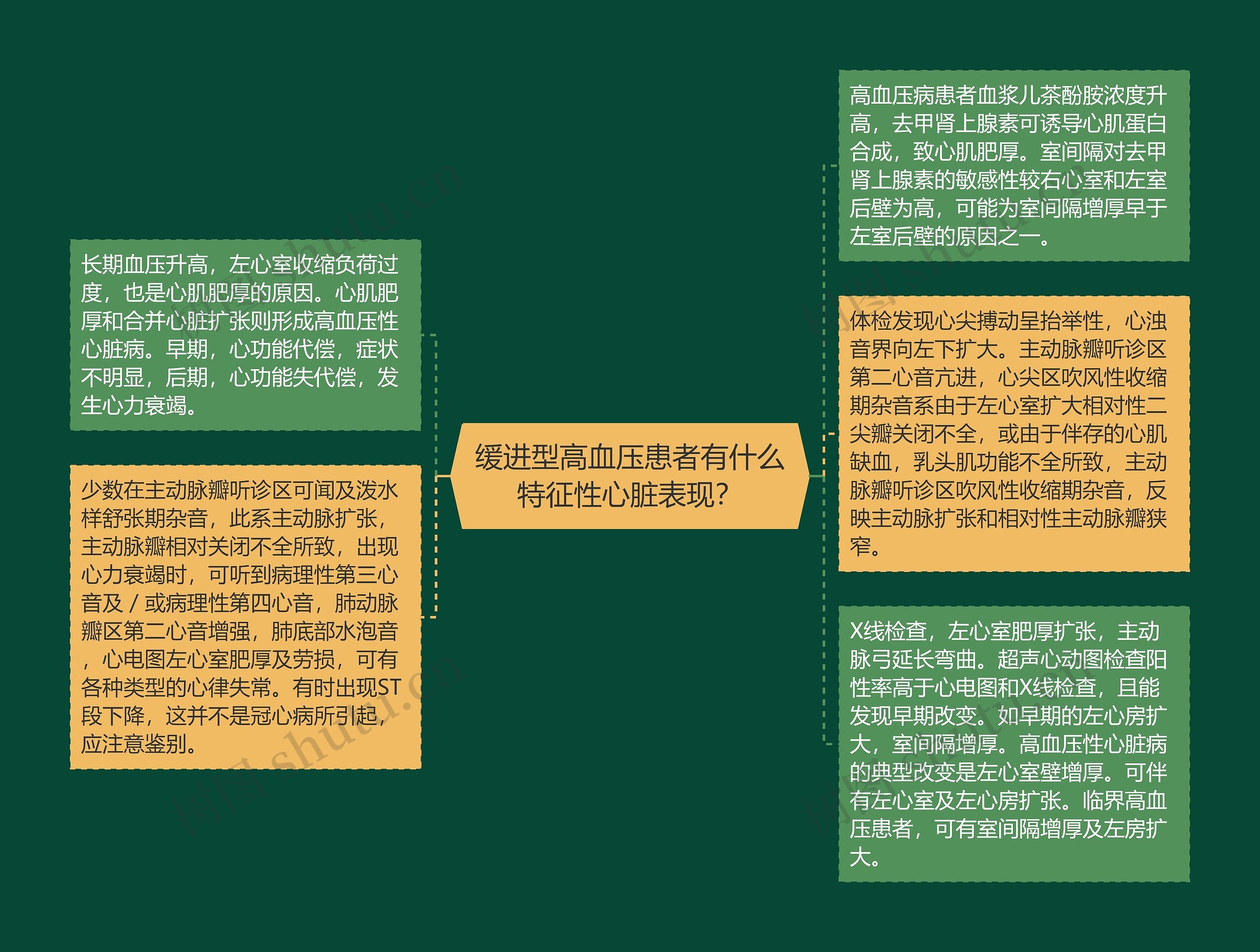 缓进型高血压患者有什么特征性心脏表现? 缓进型高血压患者有什么特征性心脏表现?