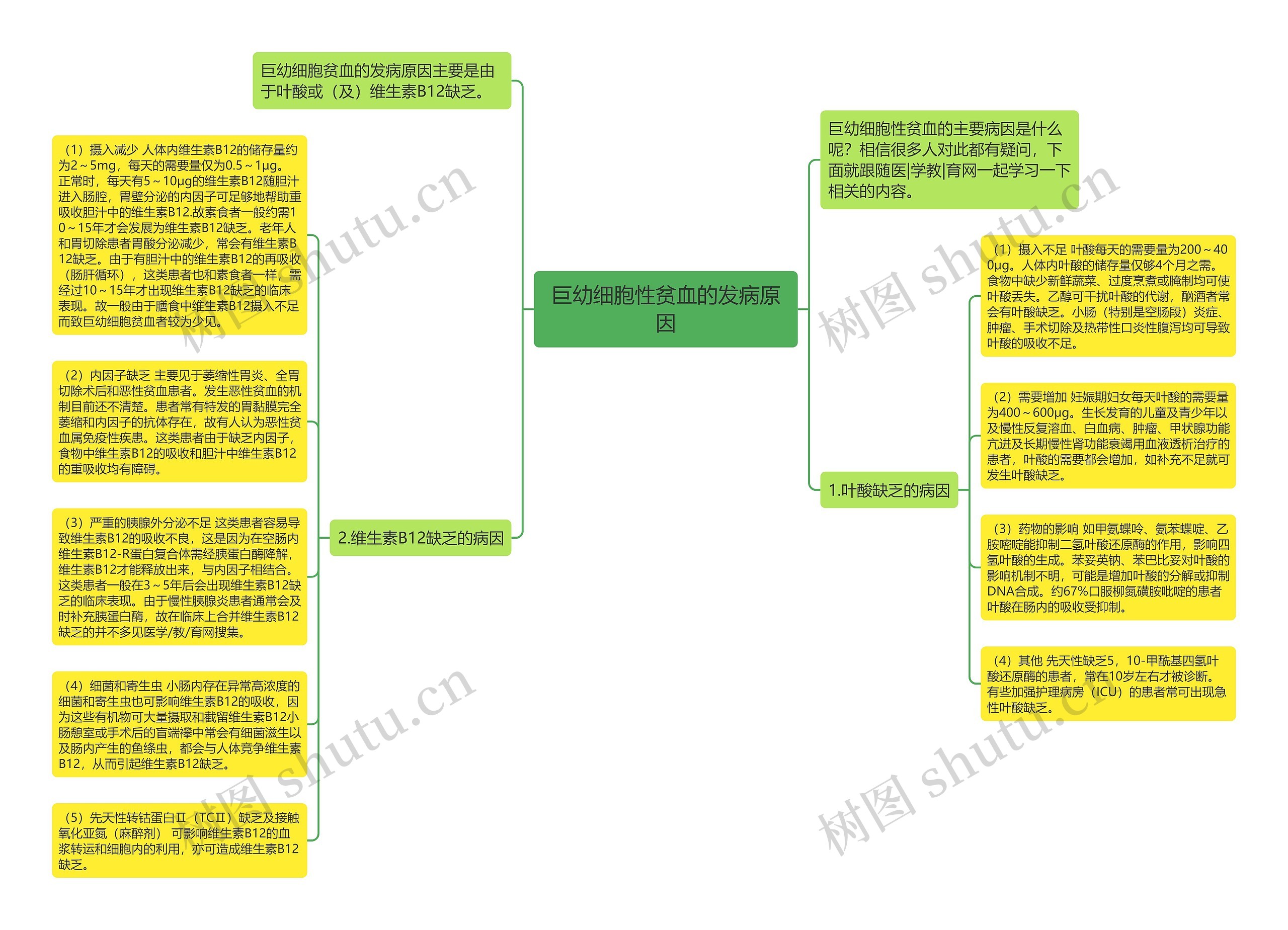 巨幼细胞性贫血的发病原因思维导图
